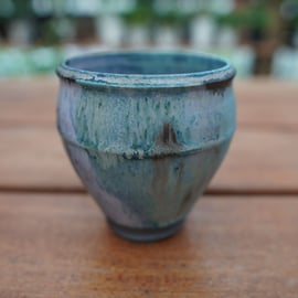 神田知広氏の鉢が再入荷しました。 | mana's farm:塊根植物・アガベ