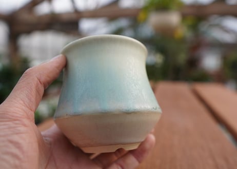 關まどか pot NO.5-12