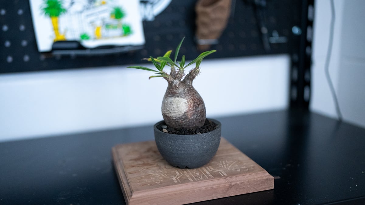 fit=scale-down,w=1200