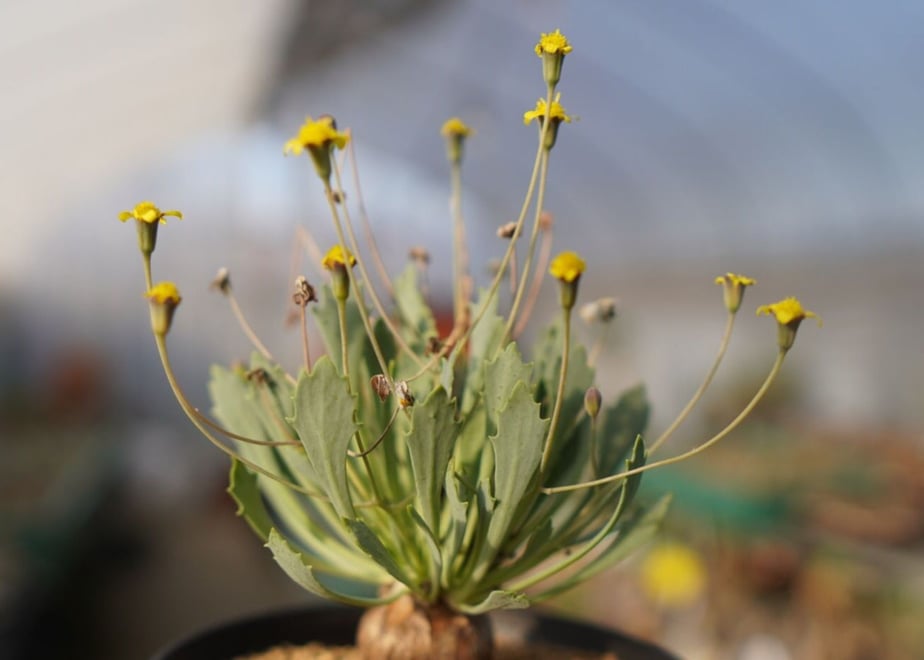 6391913f7afdb443ff9cc487