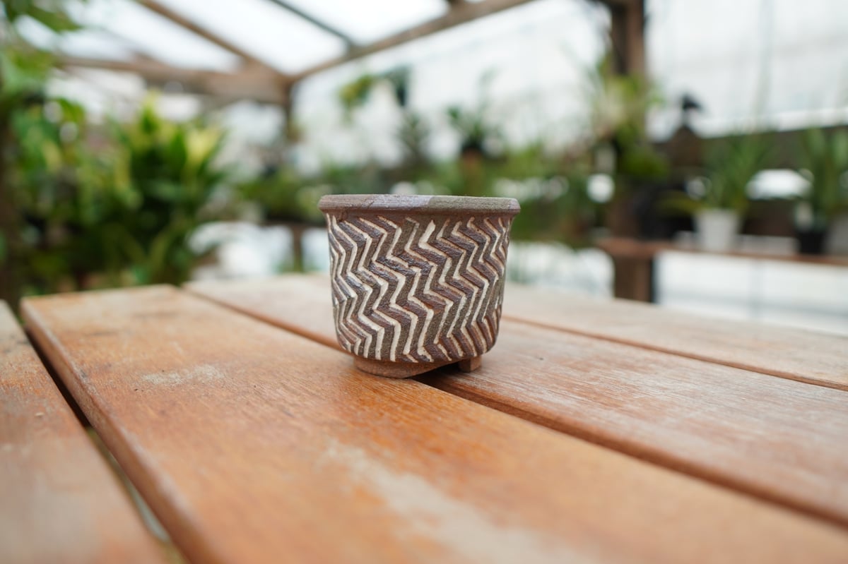 植木鉢 No.2 | mana's farm:塊根植物・アガベ・ドライガーデン植物販売