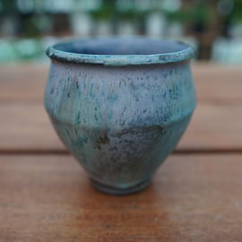 神田知広氏の鉢が再入荷しました。 | mana's farm:塊根植物・アガベ