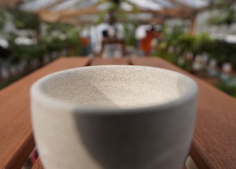 關まどか pot NO.22-4 F