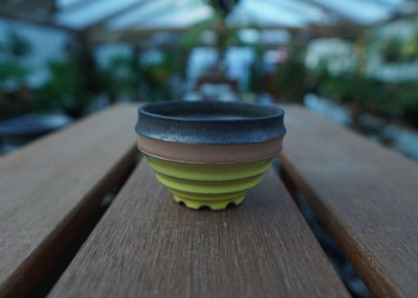 持木祐一 pot  No.48