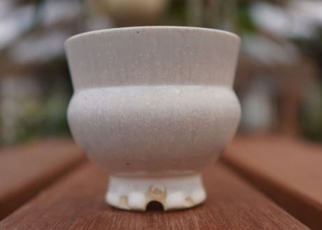 持木祐一pot NO.10
