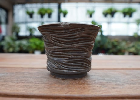 保田修作  pot No.18