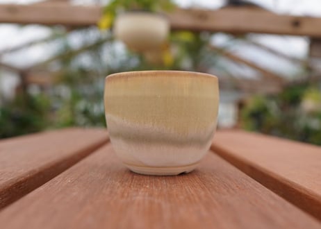關まどか pot NO.1-1　F