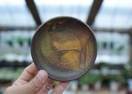 hechicami pot NO.19