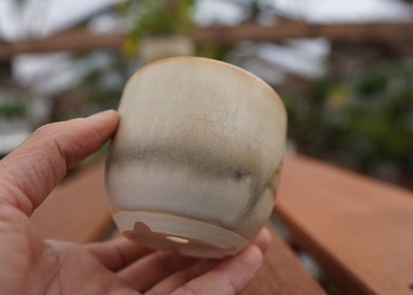 關まどか pot NO.1-6　F