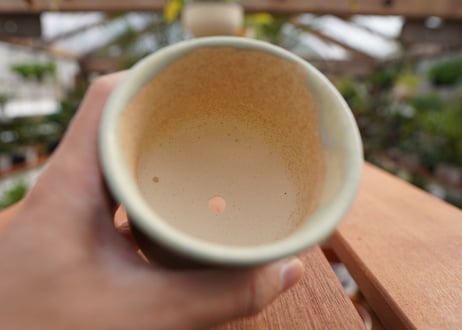 關まどか pot NO.5-5　F