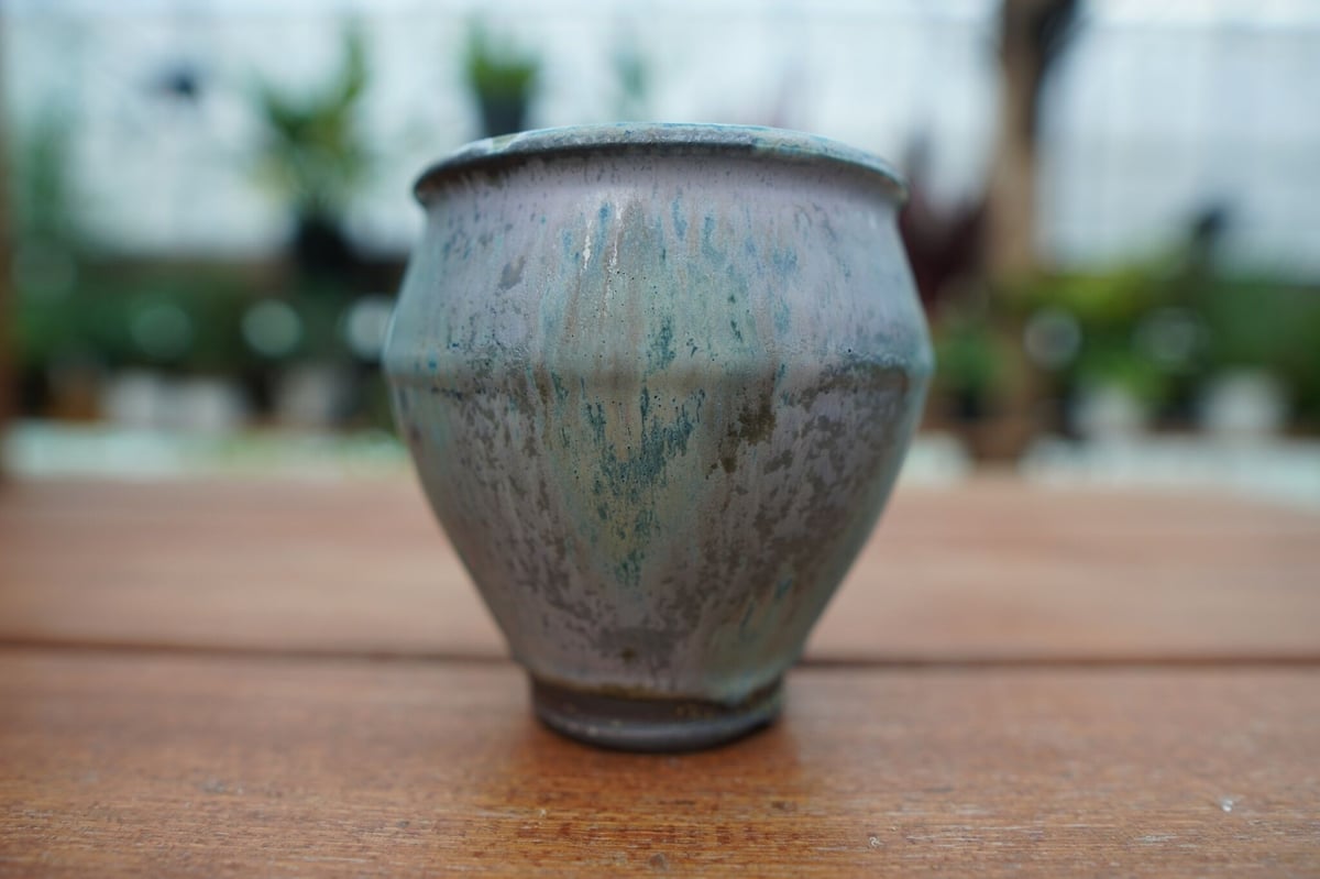 神田知広pot No.4 | mana's farm:塊根植物・アガベ・ドライガーデン