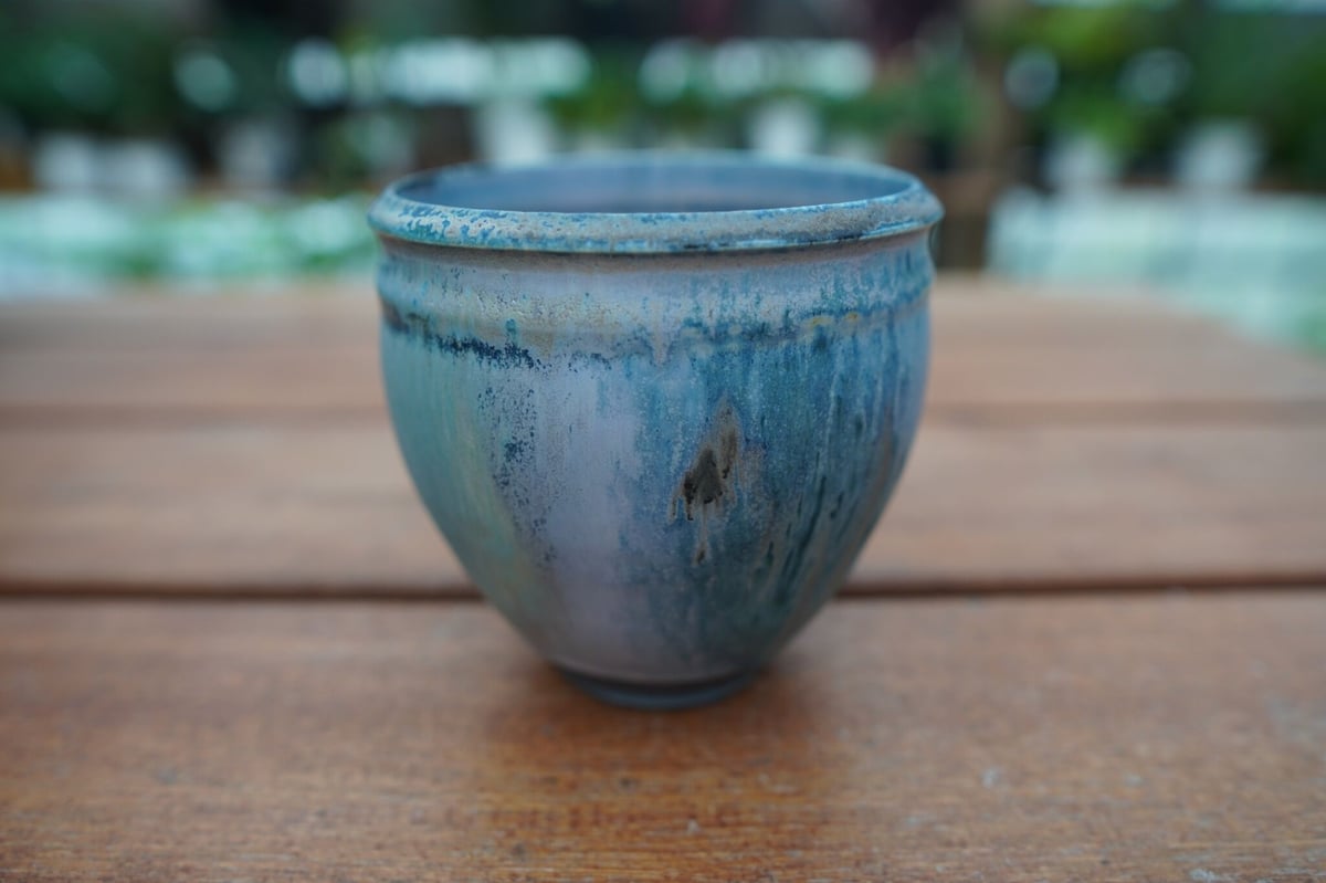 神田知広pot No.10 | mana's farm:塊根植物・アガベ・ドライガーデン