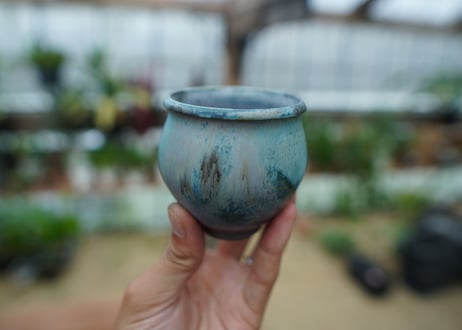 神田知広pot No.2