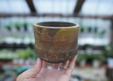 hechicami pot NO.16