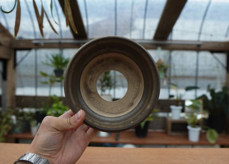 保田修作  pot No.38