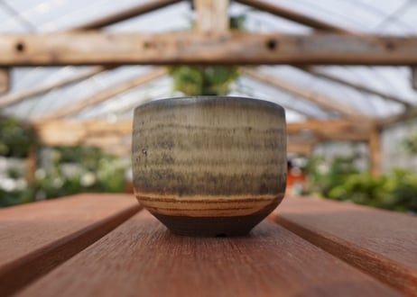 關まどか pot NO.14-2　F