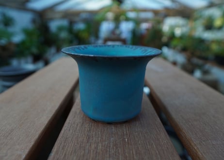 持木祐一 pot  No.29
