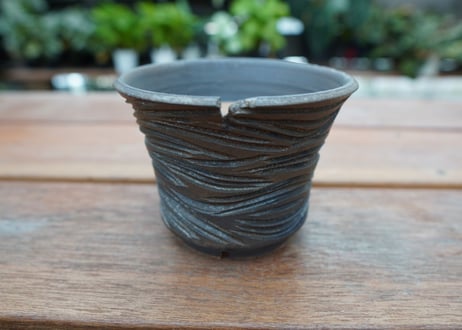 保田修作  pot No.18