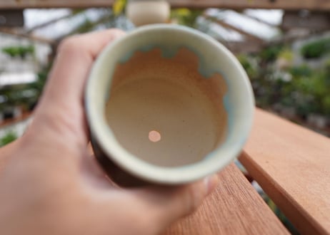 關まどか pot NO.5-12