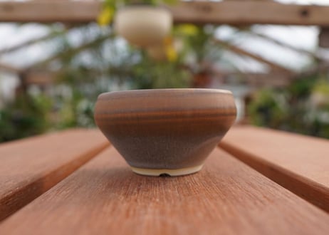 關まどか pot NO.4-2　Ｇ