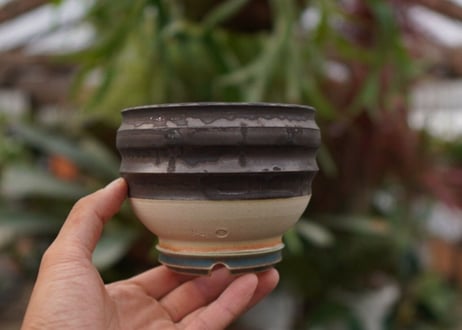持木祐一pot NO.5