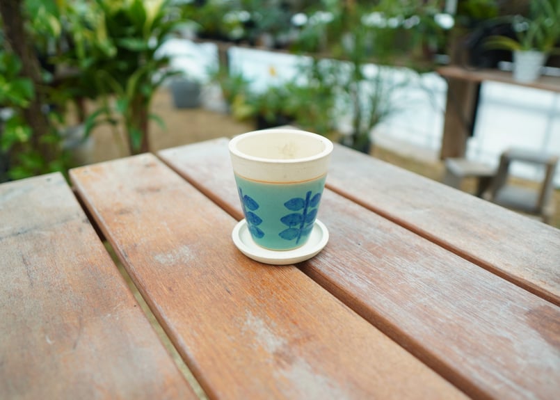 植木鉢 鉢皿付き No.5 | mana's farm:塊根植物・アガベ・ドライ