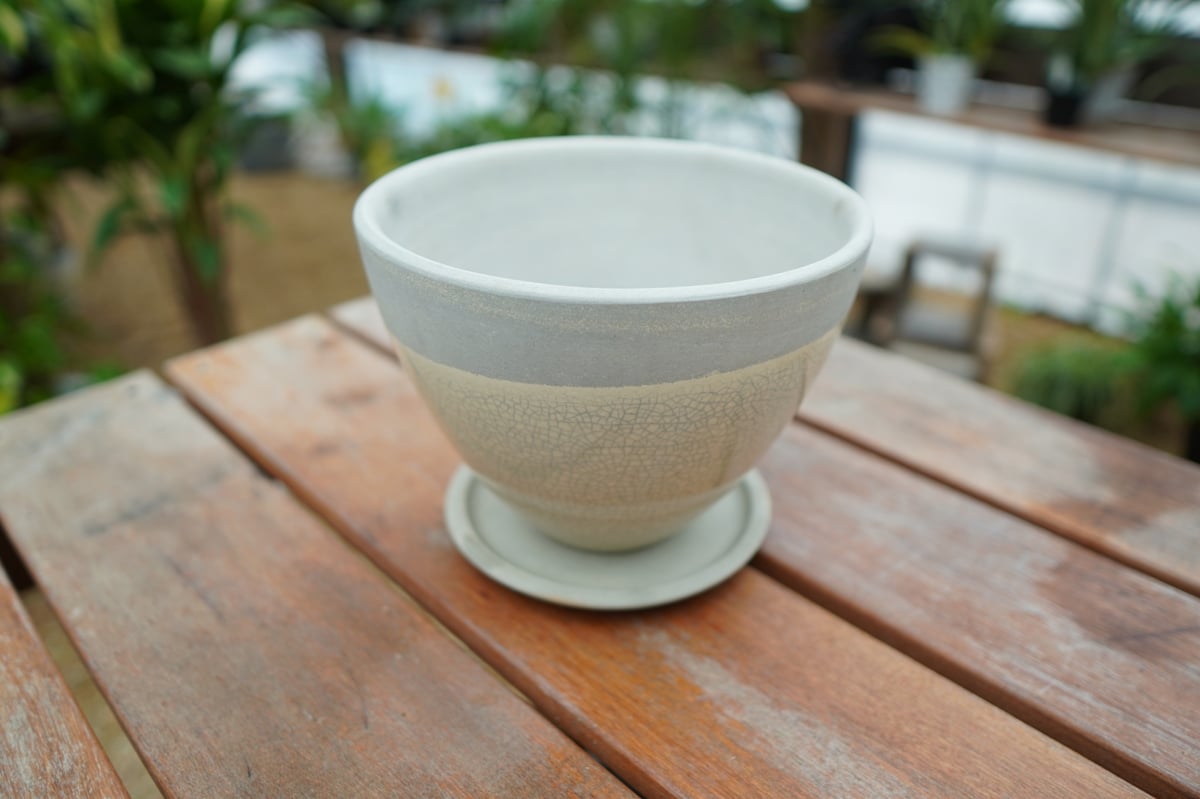 植木鉢 鉢皿付き No.1 | mana's farm:塊根植物・アガベ・ドライ