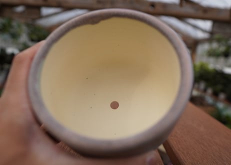 關まどか pot NO.27-2　Ｇ