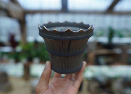Muddy Punk pot No.11