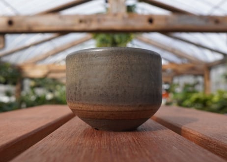 關まどか pot NO.16-1 F