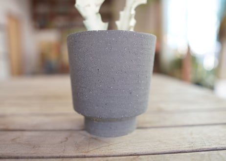 ユーフォルビア ホワイトゴースト Euphorbia lactea White Ghost