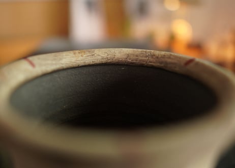 沼野秀章 pot No.38