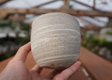 關まどか pot NO.22-2 F