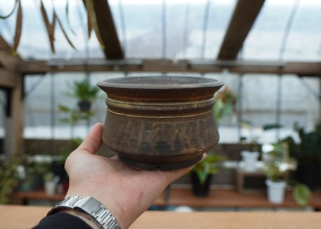 保田修作  pot No.31
