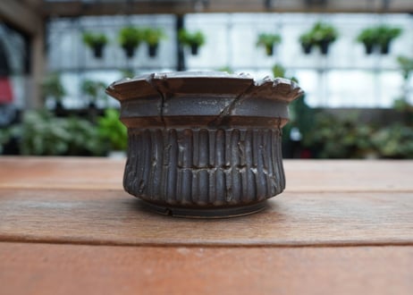 保田修作  pot No.8