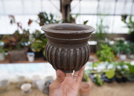 保田修作  pot No.1