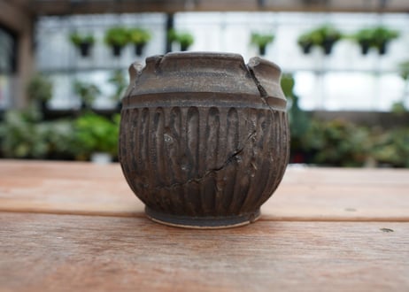 保田修作  pot No.24