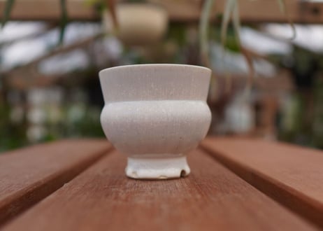 持木祐一pot NO.10