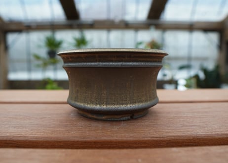 保田修作  pot No.38