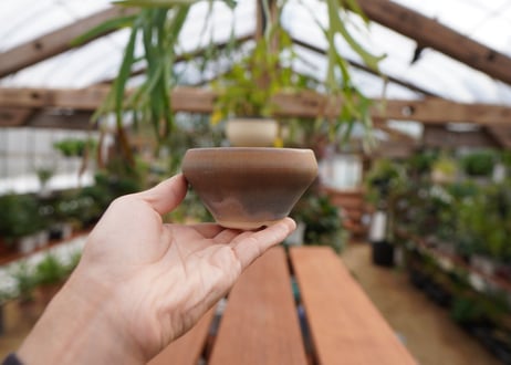 關まどか pot NO.4-3