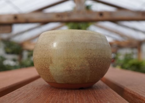 關まどか pot NO.26-1　Ｇ
