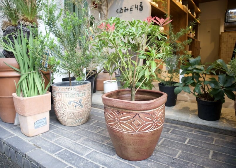 テラコッタ鉢 小 | mana's farm:塊根植物・アガベ・ドライガーデン植物