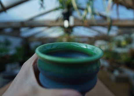 持木祐一 pot  No.46