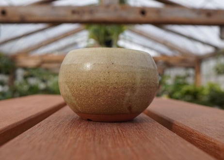 關まどか pot NO.26-1　Ｇ
