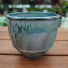 神田知広氏の鉢が再入荷しました。 | mana's farm:塊根植物・アガベ