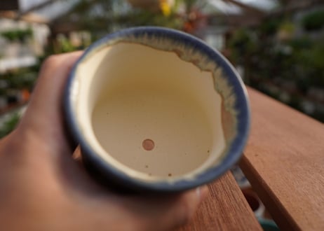 關まどか pot NO.7-6　Ｇ