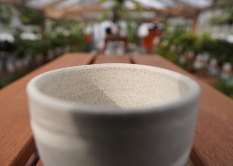 關まどか pot NO.22-5　F