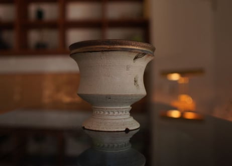 molle épine pot NO.12