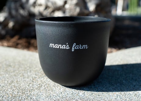 mana's farm original pot