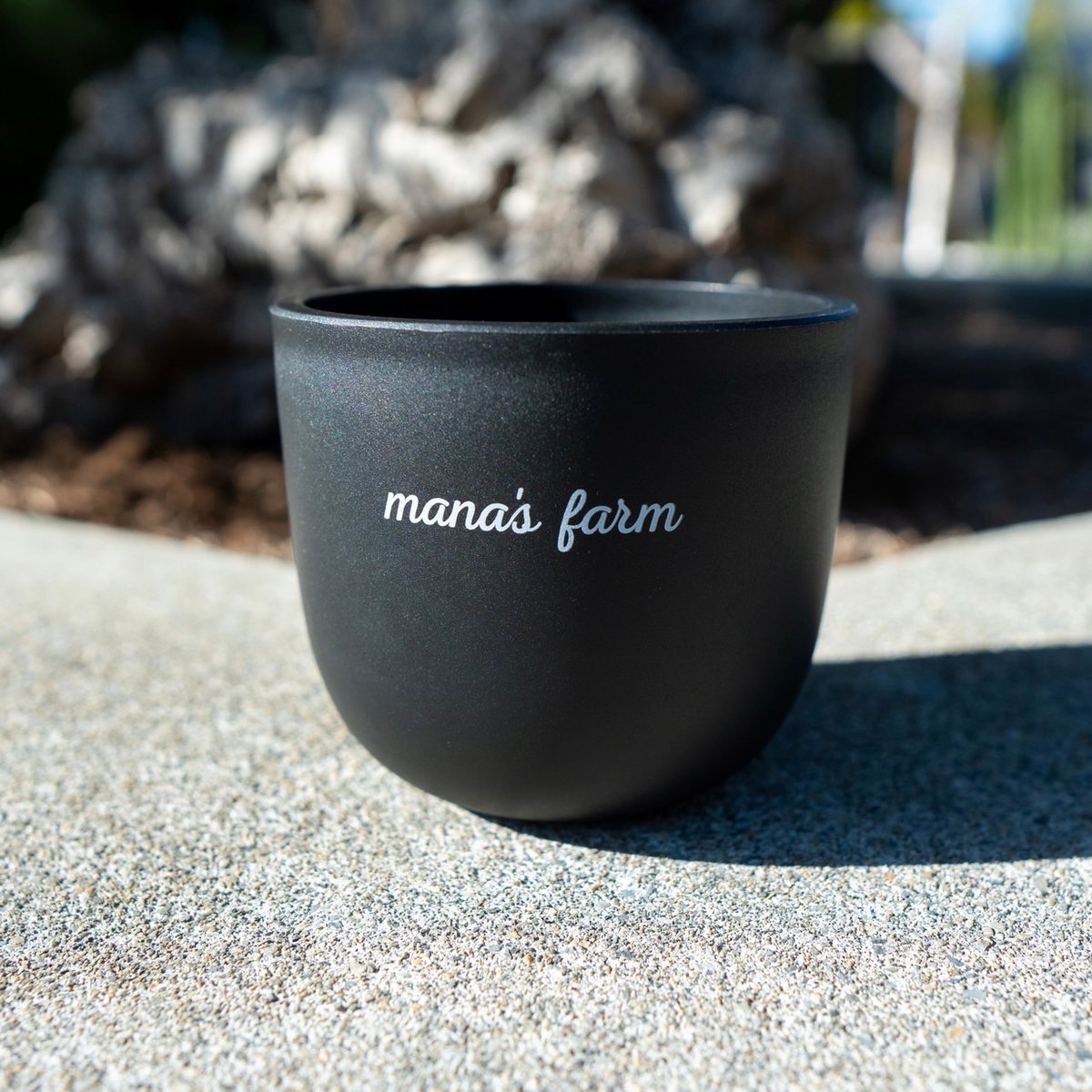 mana's farm original pot | mana's farm:塊根植物・アガベ